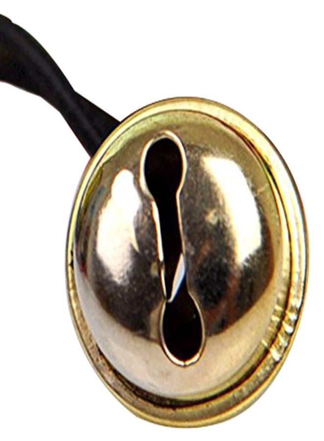 Western Era 48 cm Cat Playful Feather Toy Teaser Stick for Play and Training for Cat, Kitten, Puppy (1 Piece) (Random Color) - Image 5